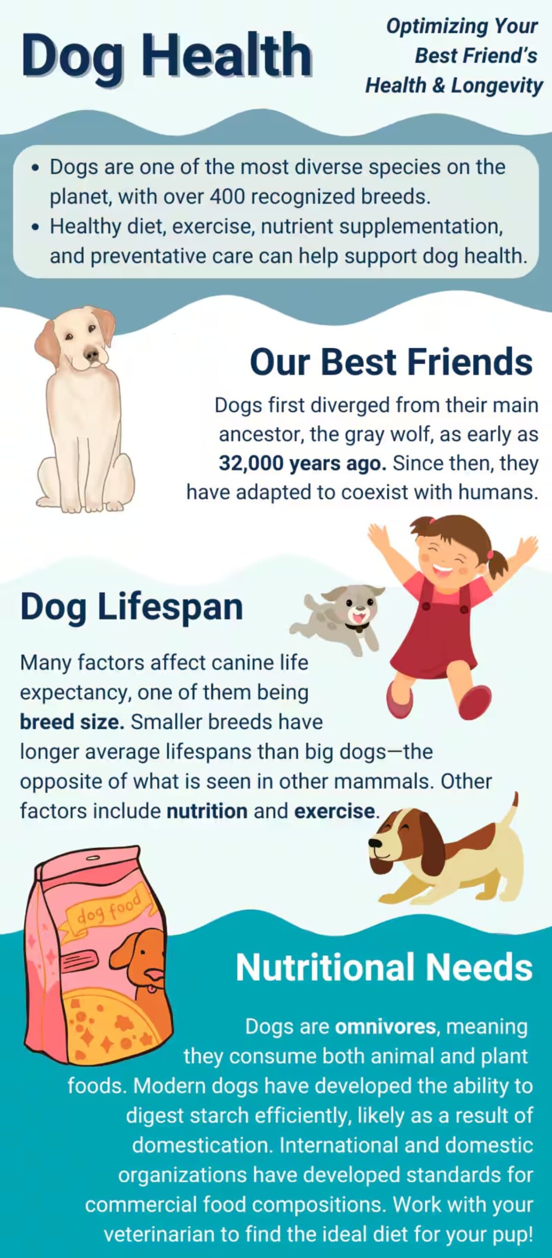 dog breeds